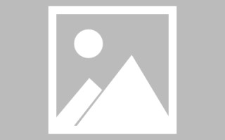 临邑河池网站建设定制（河池网站建设定制招标公告）